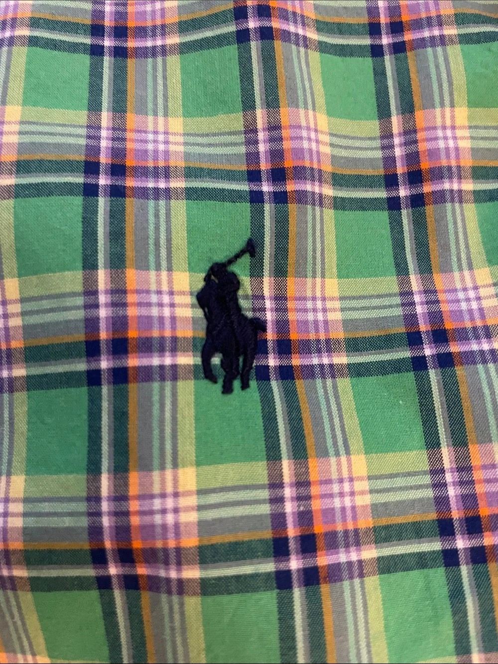 Ralph Lauren Green Plaid Button-Down Shirt with Navy Pony